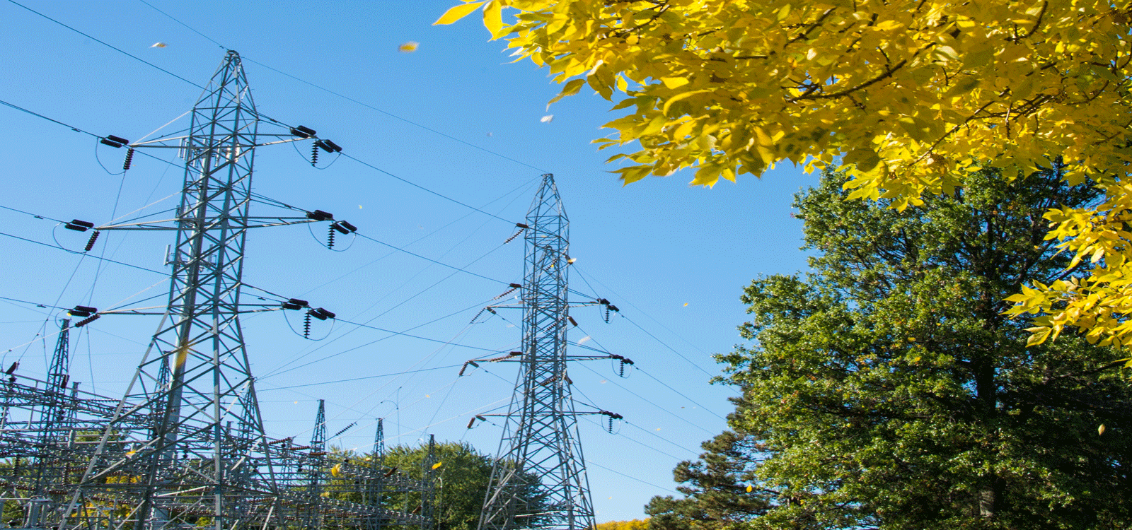 Power Transmission Spring